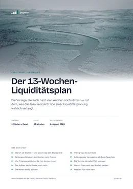 Titelseite: 13-Wochen-Liquiditätsplan